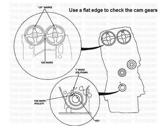 B18C1 DOHC VTEC Timing Belt