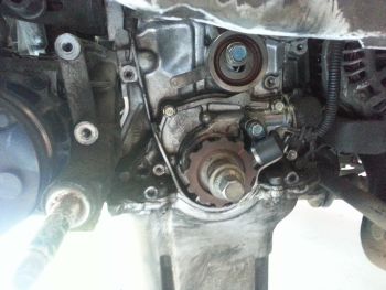 How to Change your D16Y8 SOHC Timing Belt - My Pro Street 96 lt1 spark plug wire diagram 